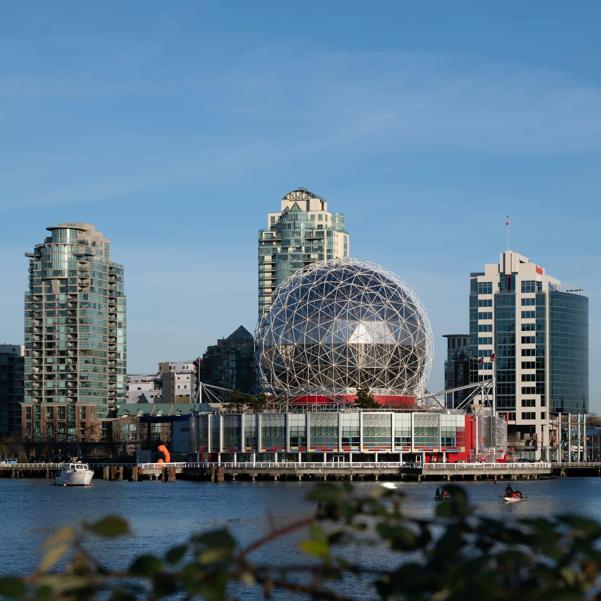 Vídeos diários de professores nativos